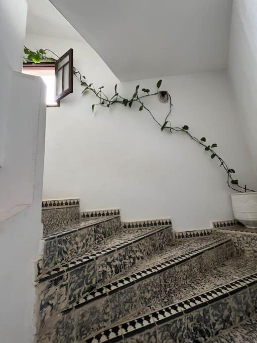 Mehek Daire Asilah Dış mekan fotoğraf